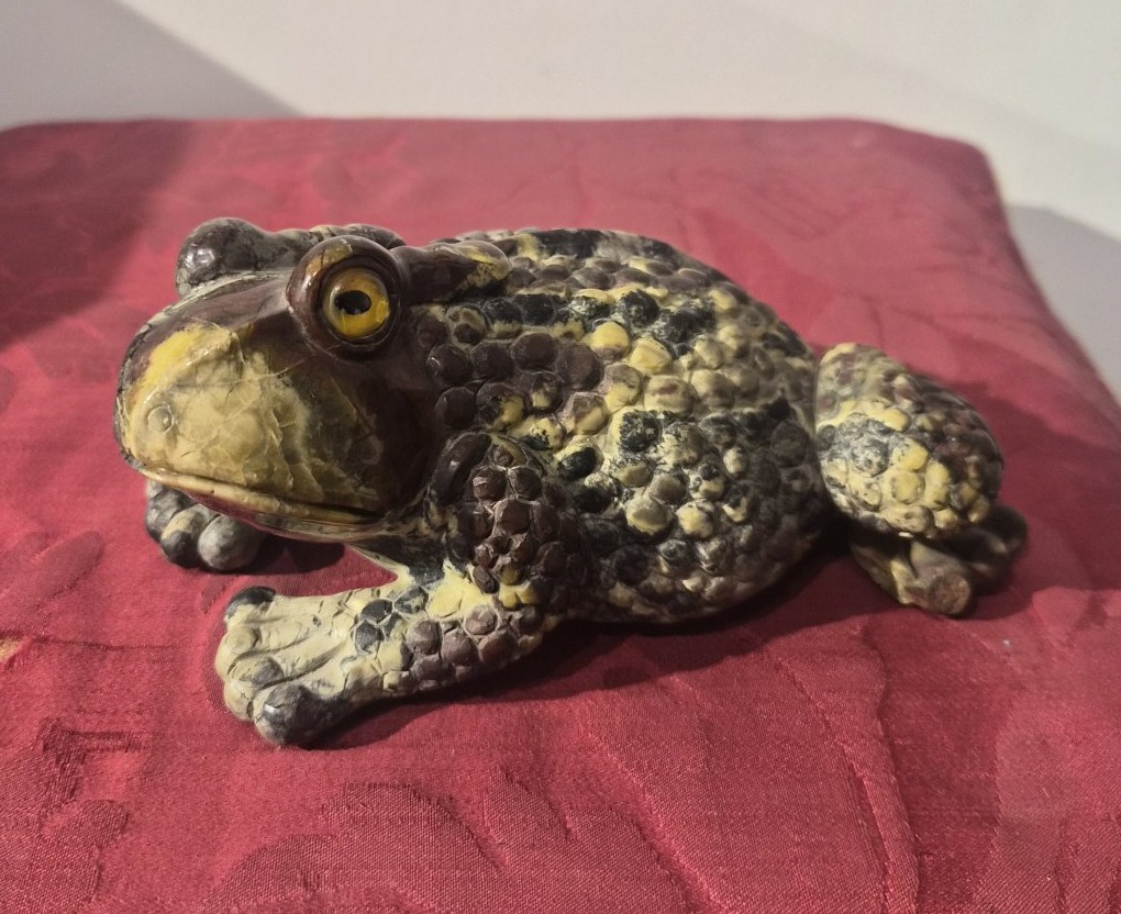 Crapaud en rhyolite, Wunderkammer