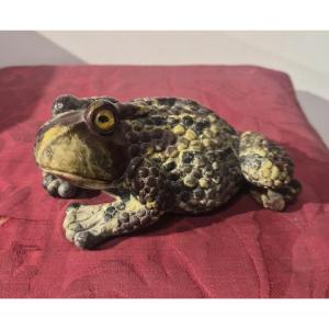 Crapaud en rhyolite, Wunderkammer