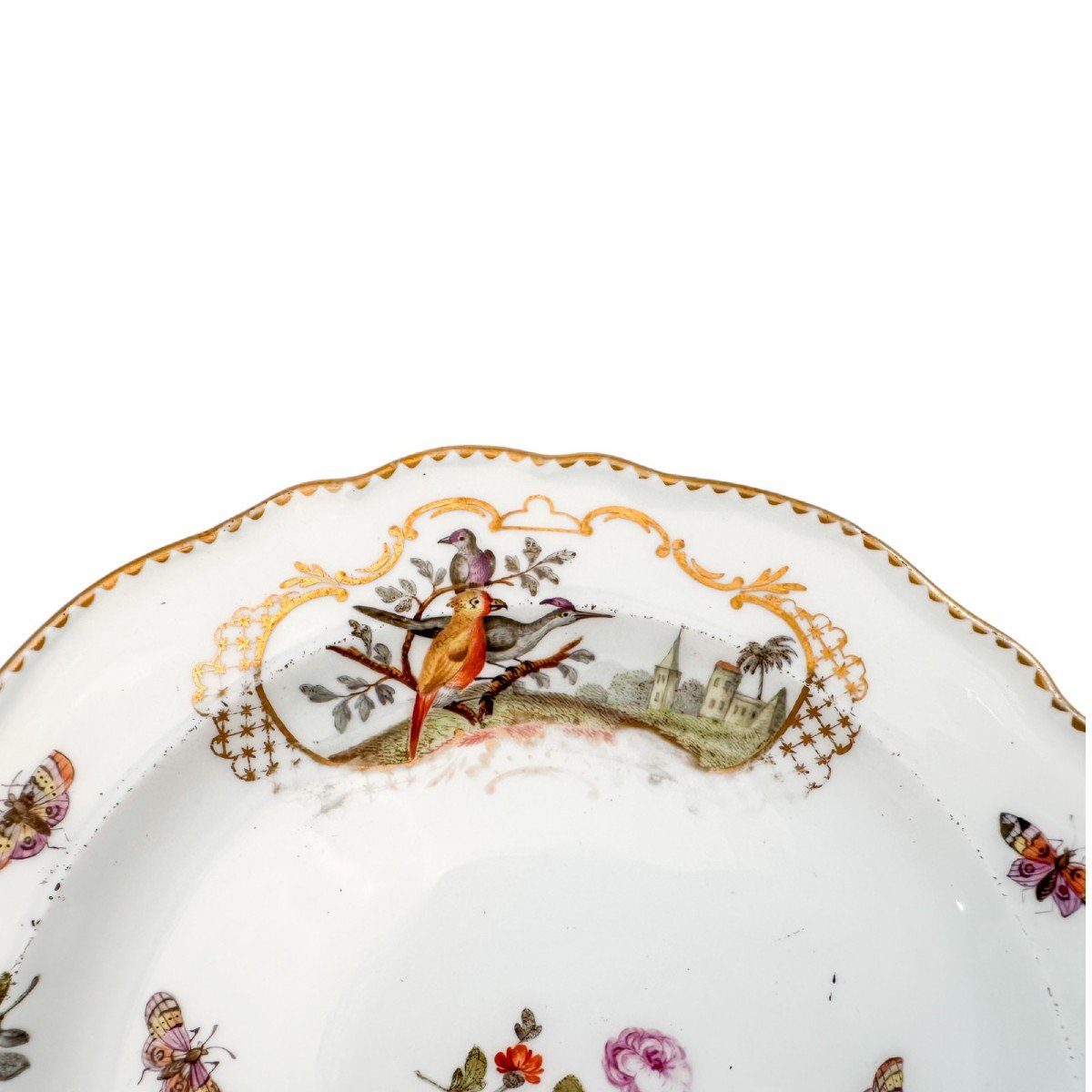 Antique 19th Century Meissen Porcelain Bird And Insect Design Plate With Gilt Scalloped Rim-photo-1