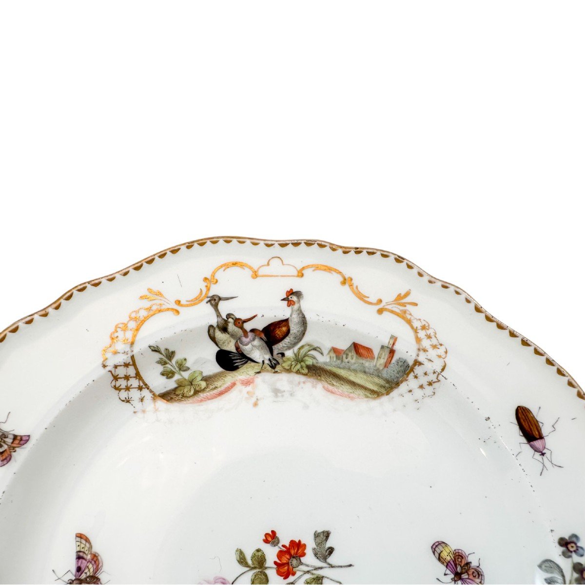 Antique 19th Century Meissen Porcelain Bird And Insect Design Plate With Gilt Scalloped Rim-photo-2