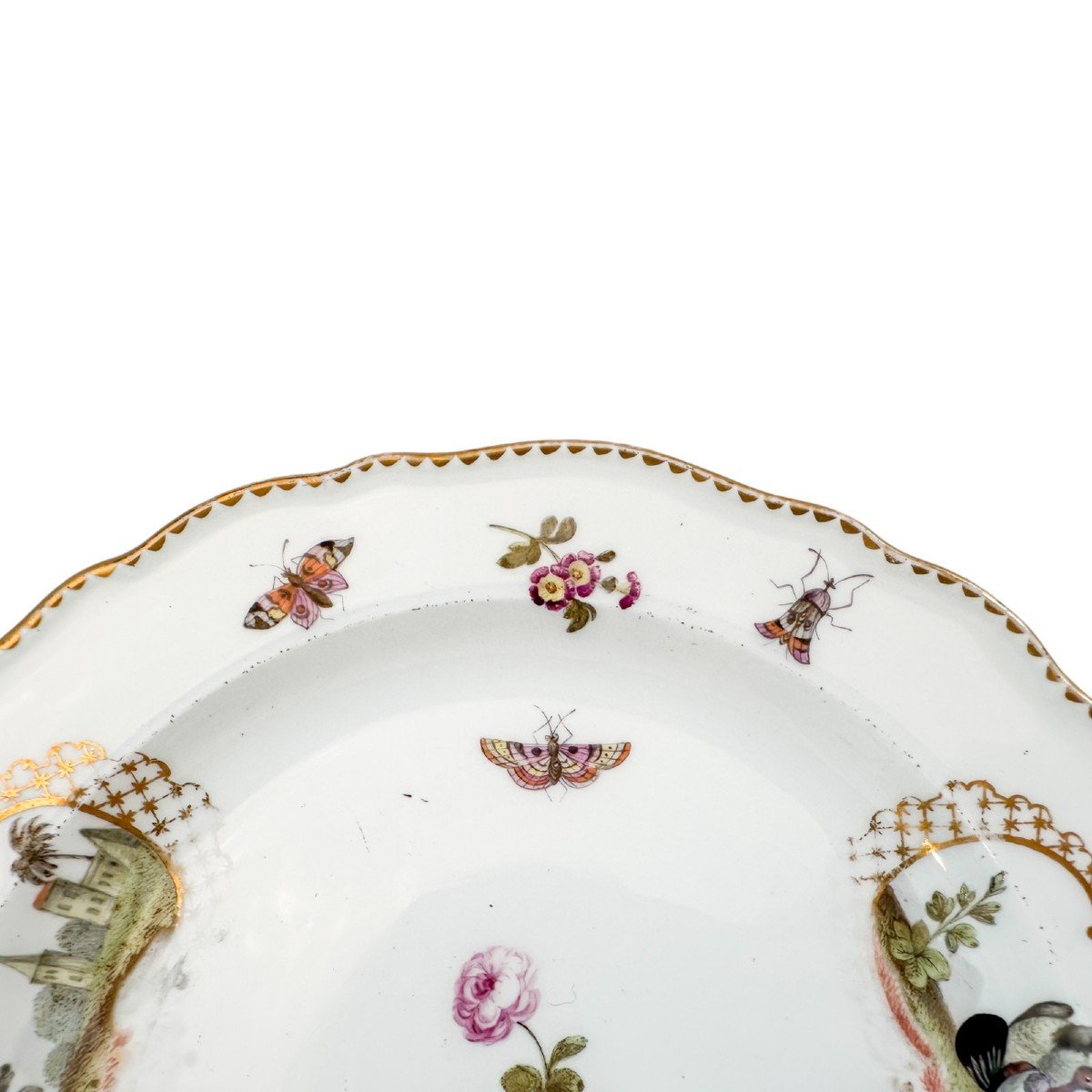 Antique 19th Century Meissen Porcelain Bird And Insect Design Plate With Gilt Scalloped Rim-photo-3