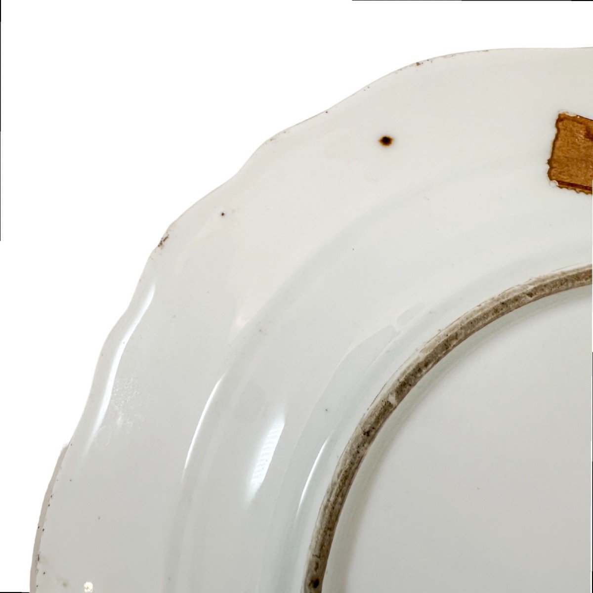 Antique 19th Century Meissen Porcelain Bird And Insect Design Plate With Gilt Scalloped Rim-photo-7