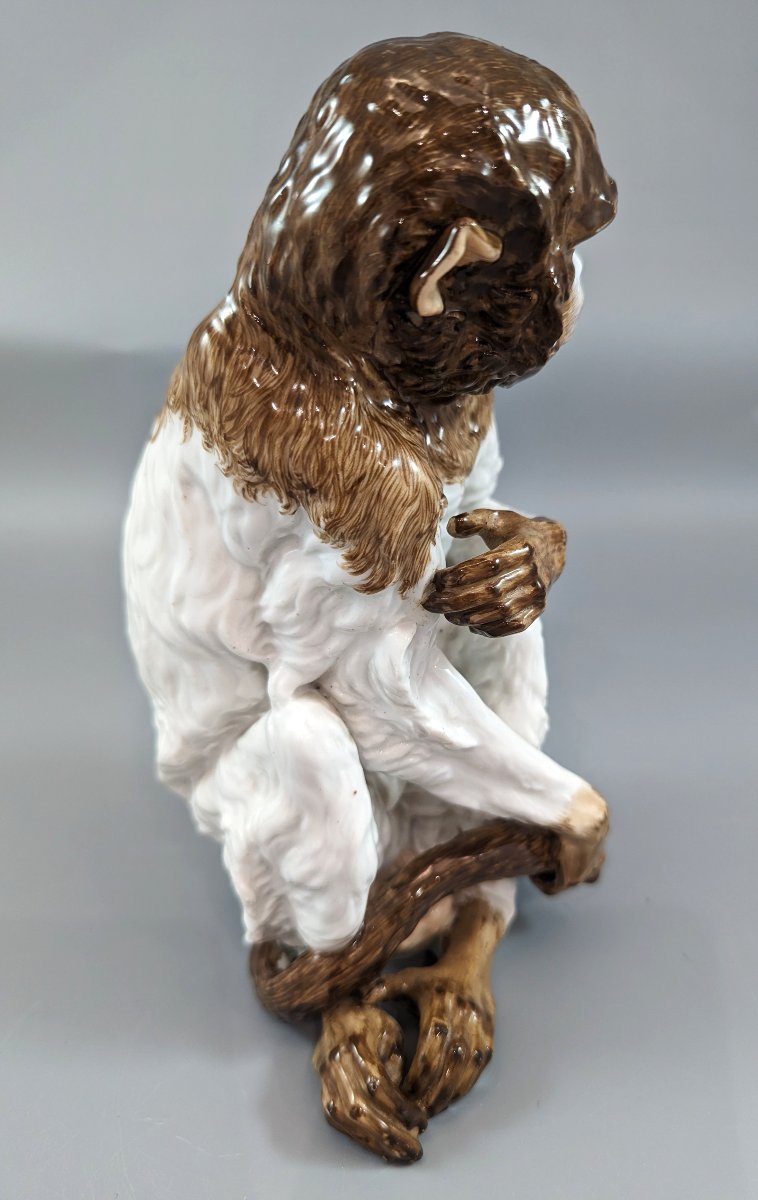 Meissen Porcelain Monkey With Genitalia, "kunstkammer", Mid-18th Century-photo-4
