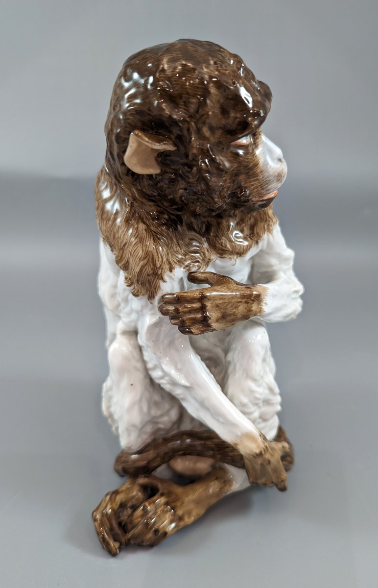 Meissen Porcelain Monkey With Genitalia, "kunstkammer", Mid-18th Century-photo-5