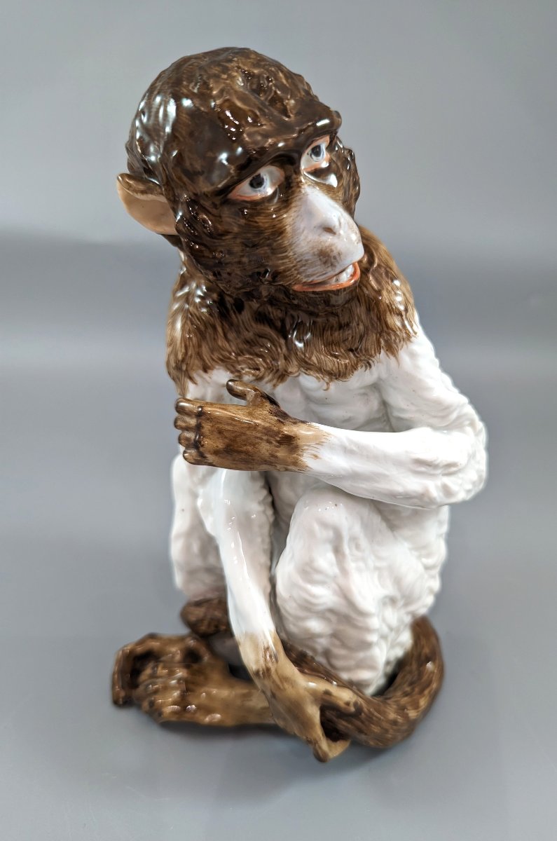 Meissen Porcelain Monkey With Genitalia, "kunstkammer", Mid-18th Century-photo-6