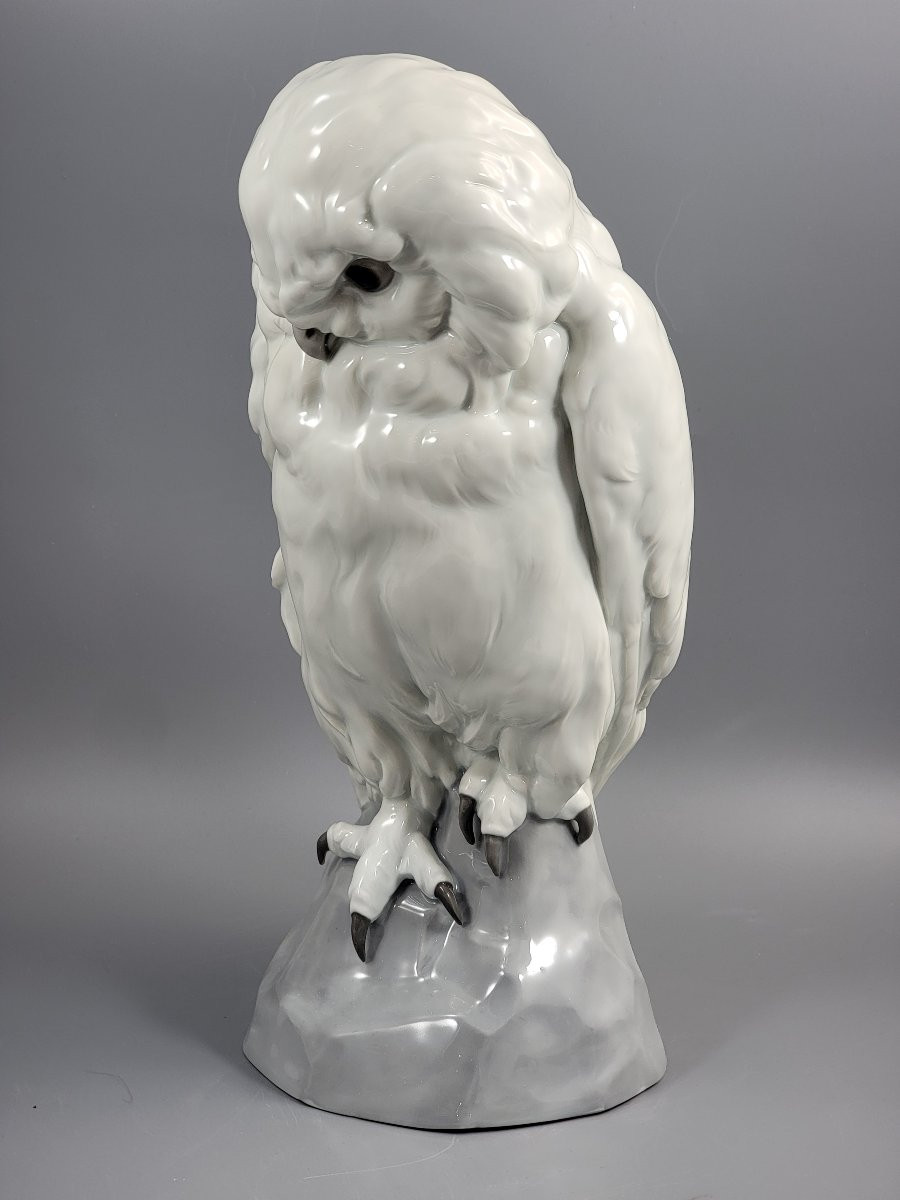 Gebrüder Heubach, Harfang des neiges par Otto Pech, grande porcelaine blanche, vers 1910-photo-2