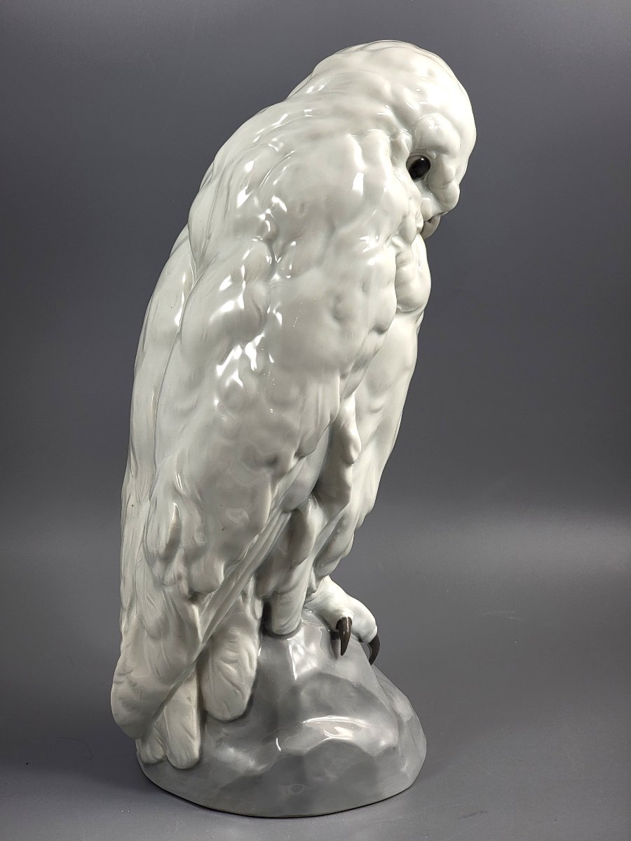 Gebrüder Heubach, Harfang des neiges par Otto Pech, grande porcelaine blanche, vers 1910-photo-2