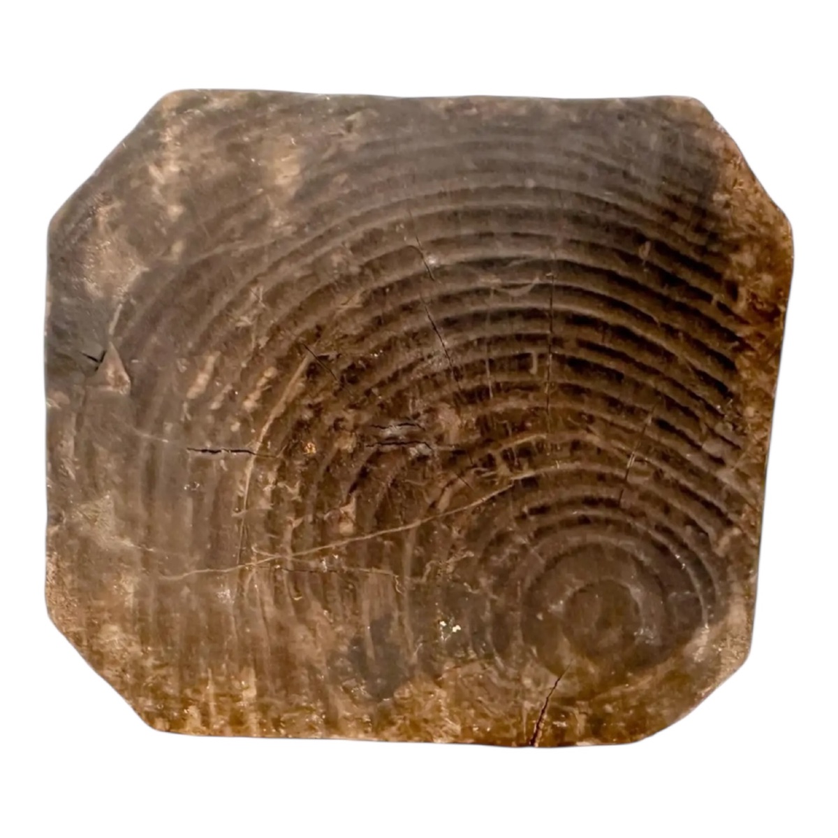 A Fine 18th Century Continental Baroque Carved Wood Acolyte Candlestick Figure-photo-4