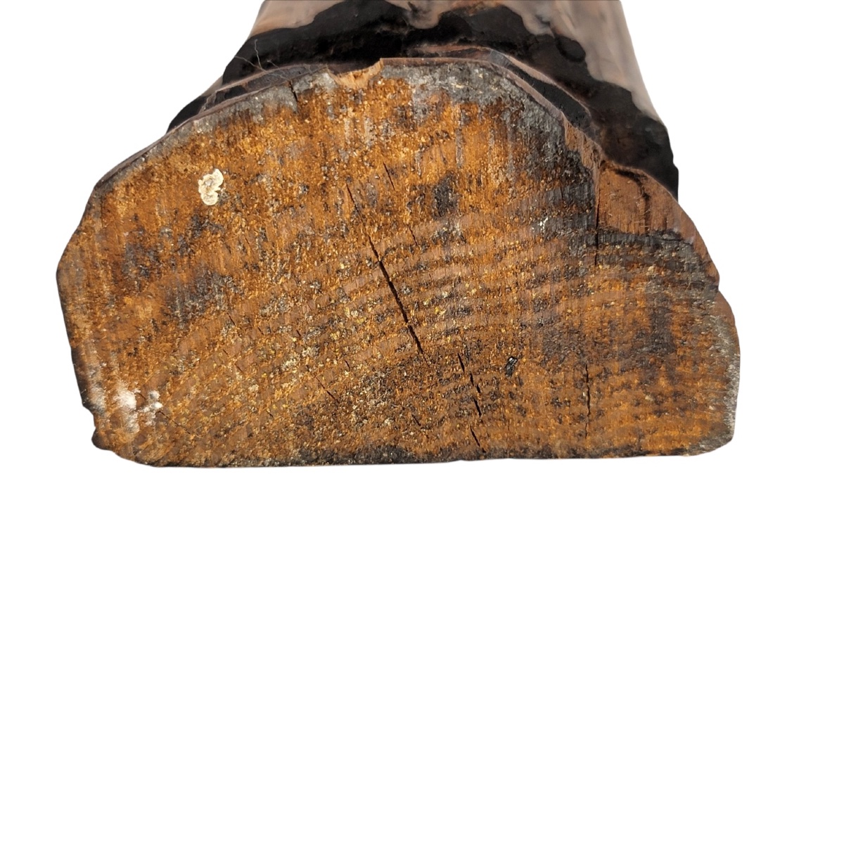 Rare Collection de Cinq Sculptures en Bois par l'Artiste Bavarois Franz Keller-photo-2