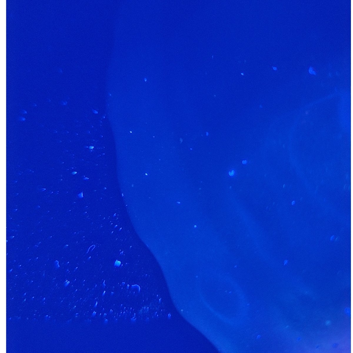 Architectural Longquan Celadon Bowl With Foliate Rim — Southern Song/early Yuan (13th–early 14t-photo-8