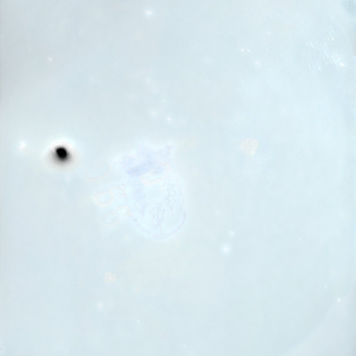 Grand centrepiece Schierholz Plaue avec putti et roses appliquées, vers 1907-photo-1