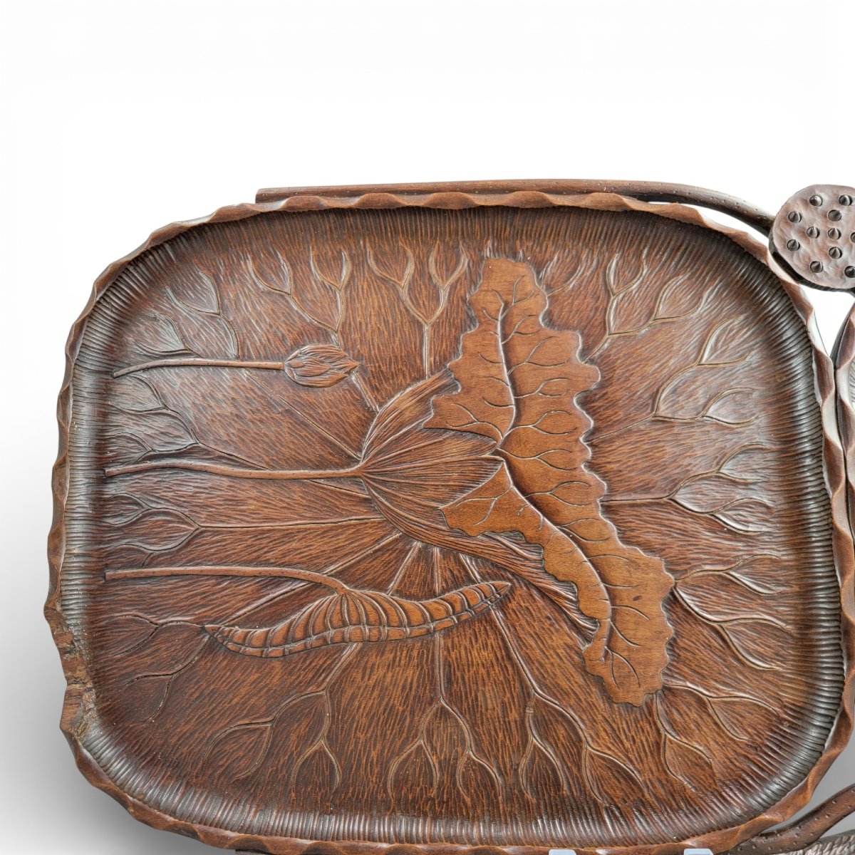 Plateau japonais en bois de keyaki sculpté au décor de lotus, période Meiji-photo-2