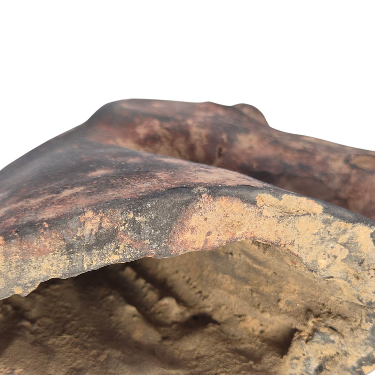 Chinese Han Dynasty Type Painted Terracotta Horse Head, Mingqi Tomb Figure-photo-6
