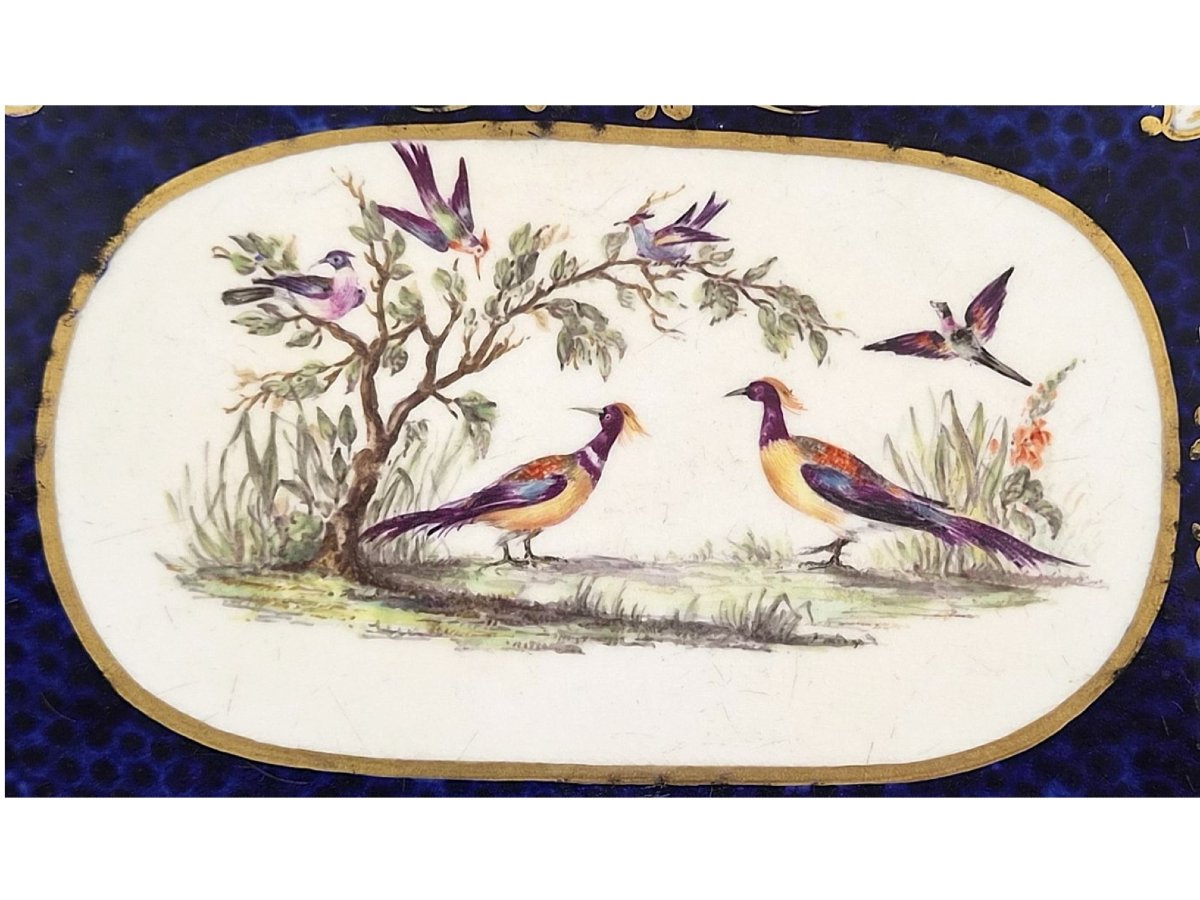Plateau anglais aux oiseaux exotiques, tradition Worcester et James Giles, vers 1850-photo-2