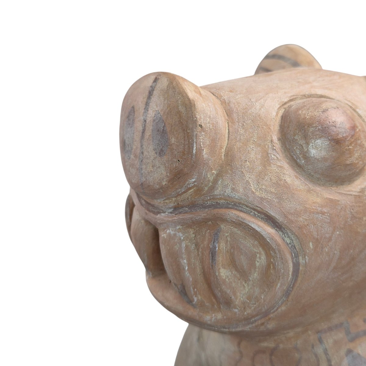 Ancient Pre-columbian Terracotta Zoomorphic Vessel-photo-5