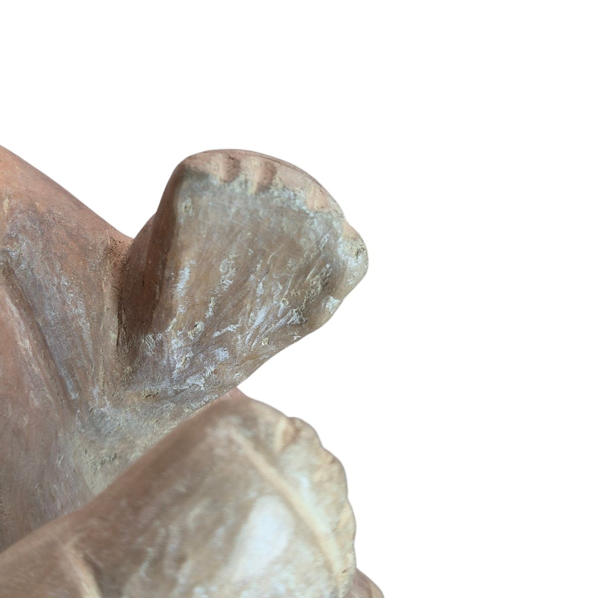 Ancient Pre-columbian Terracotta Zoomorphic Vessel-photo-7