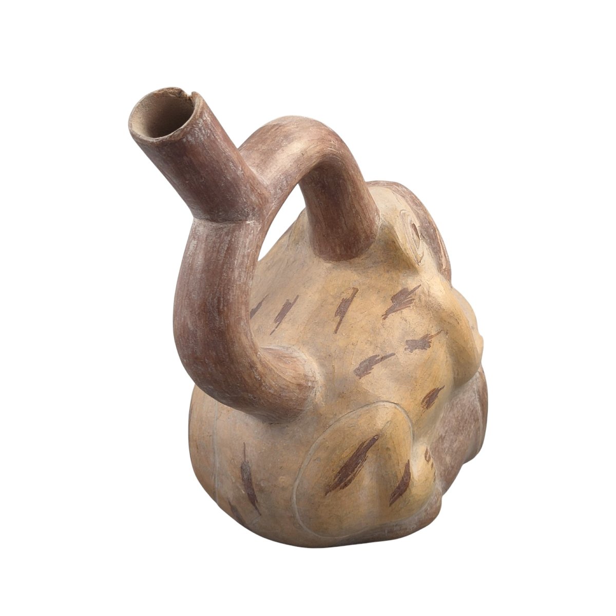 Vase en Terre Cuite Précolombienne Moche Grenouilles (1er millénaire)-photo-3