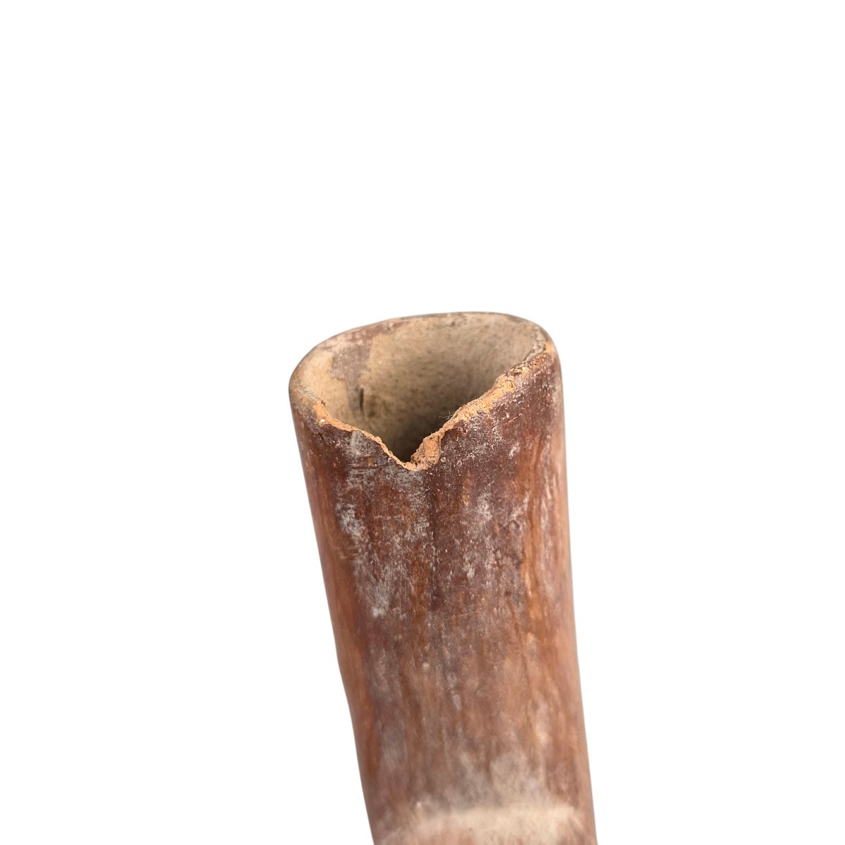 Vase en Terre Cuite Précolombienne Moche Grenouilles (1er millénaire)-photo-6