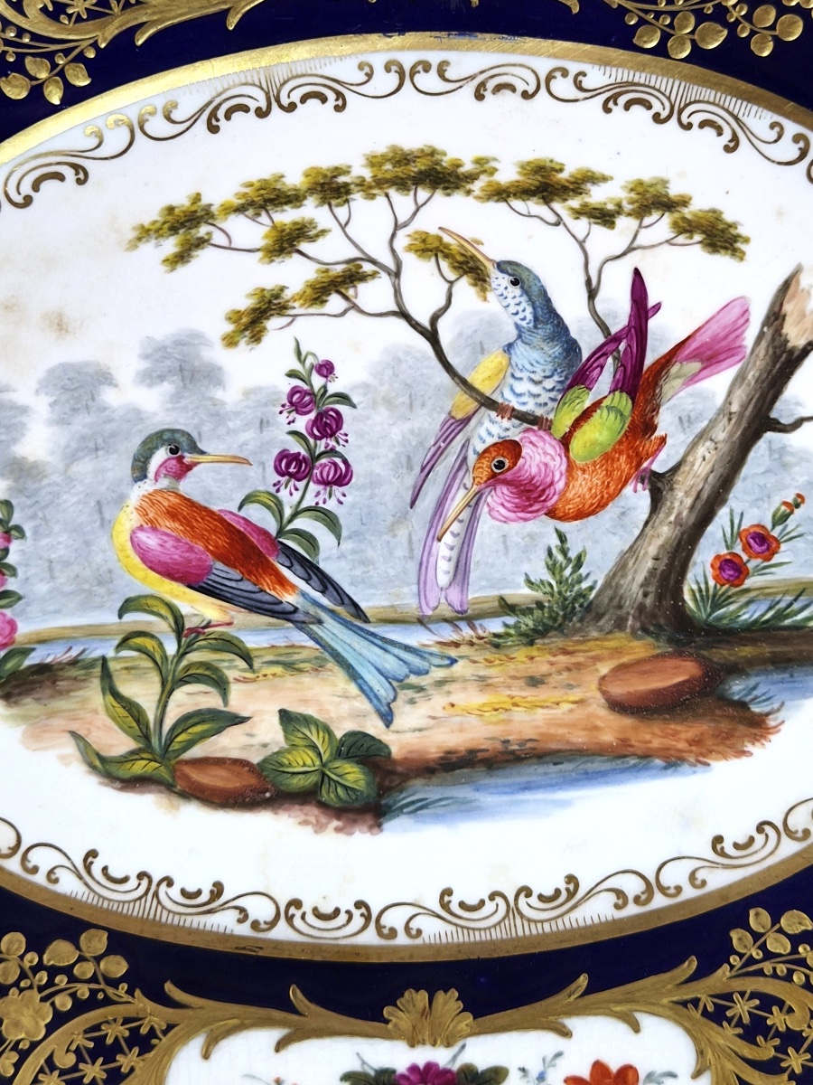 Antique English Fancy Birds Oval Dish, Attributed To Coalport, Cobalt Blue, C.1840-1850-photo-3