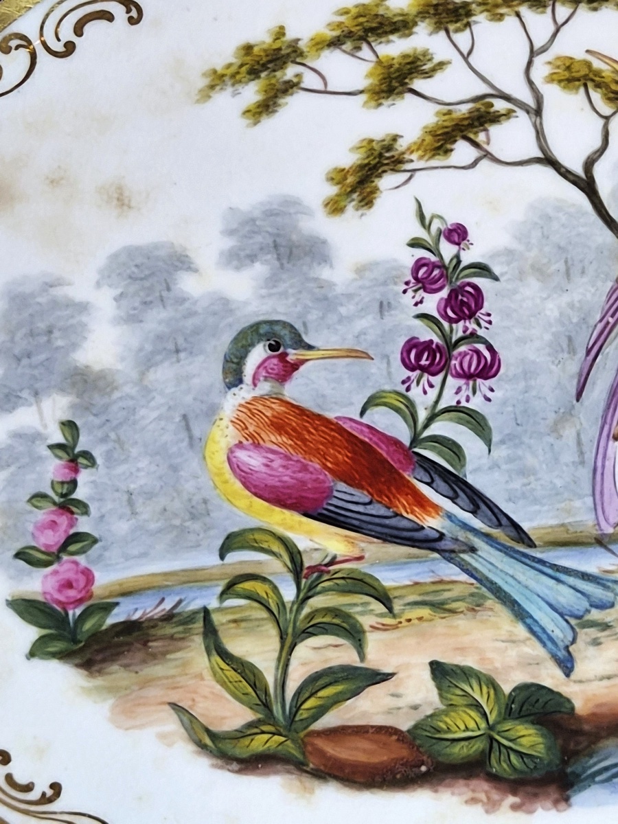 Antique English Fancy Birds Oval Dish, Attributed To Coalport, Cobalt Blue, C.1840-1850-photo-1