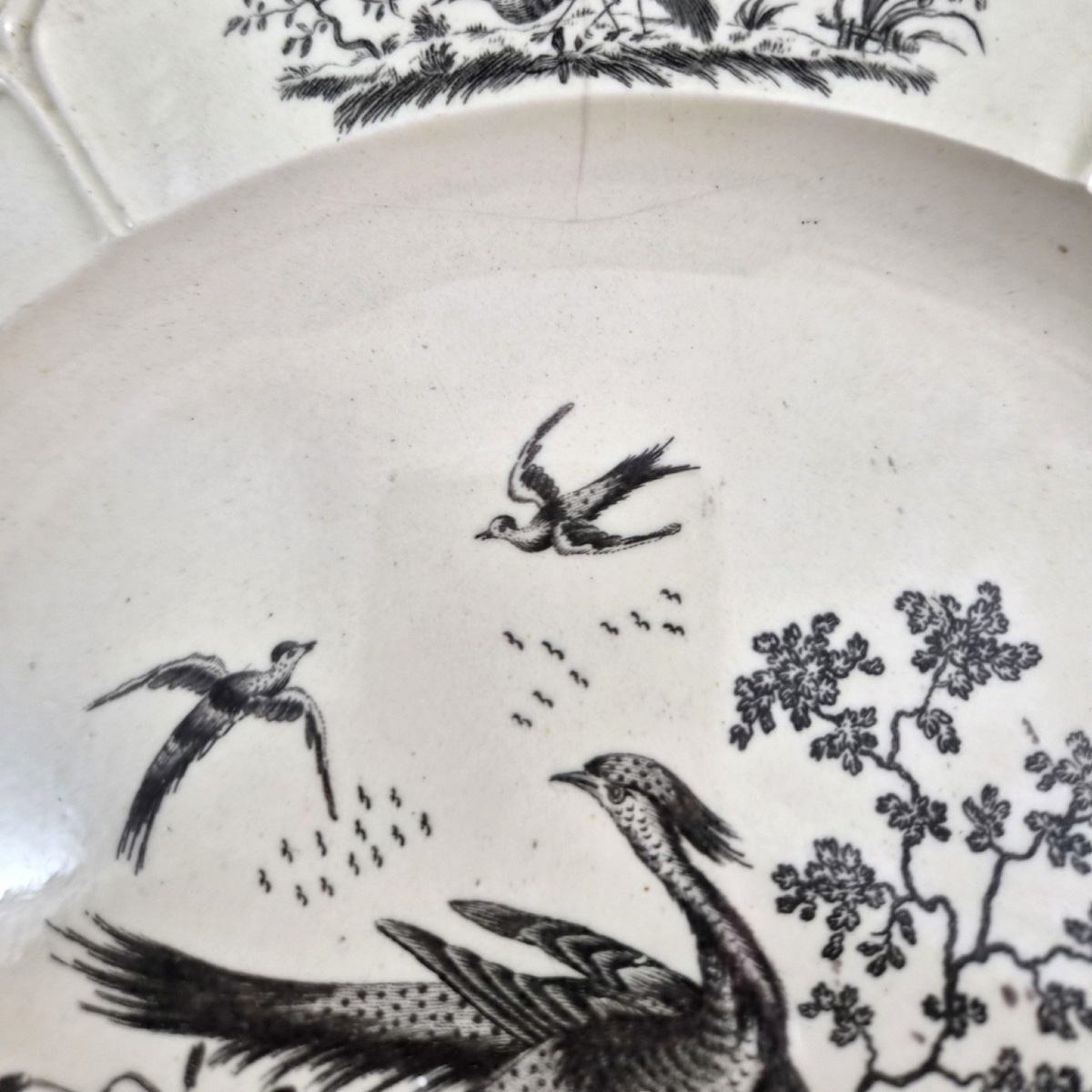 Leeds Pottery, Deux Assiettes « Liverpool Birds », vers 1770–1780-photo-4