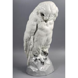 Gebrüder Heubach, Harfang des neiges par Otto Pech, grande porcelaine blanche, vers 1910