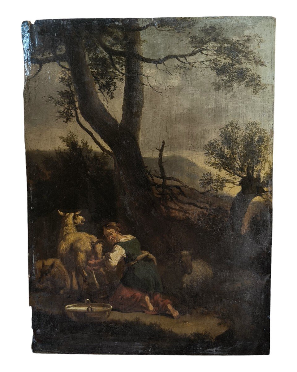 Huile sur panneau "jeune bergère trayant une brebis" 33 X 24 cm