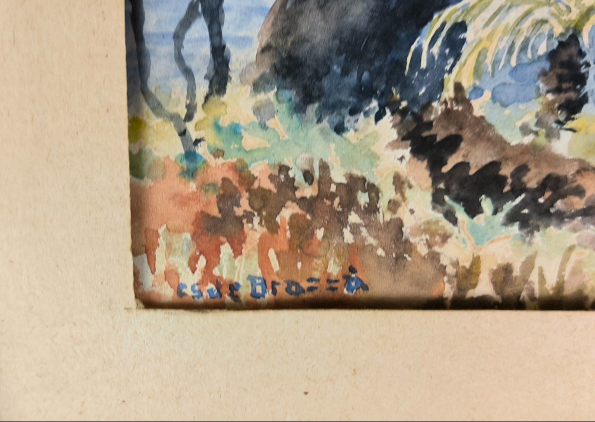Savorgnan de Brazza. Forêt équatoriale. Aquarelle "souvenir de la forêt équatoriale" 33 X 24 Cm-photo-3