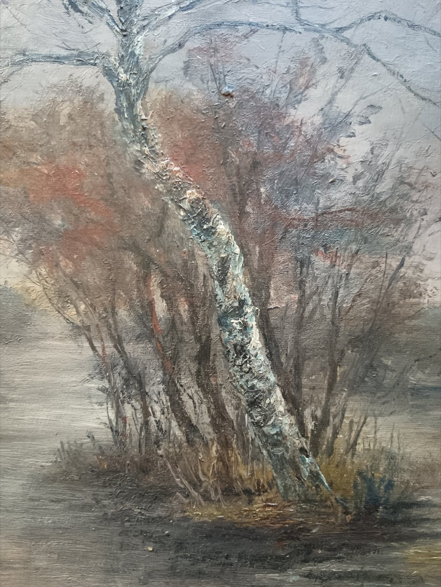 Jules Sauvenière paysage lacustre-photo-6