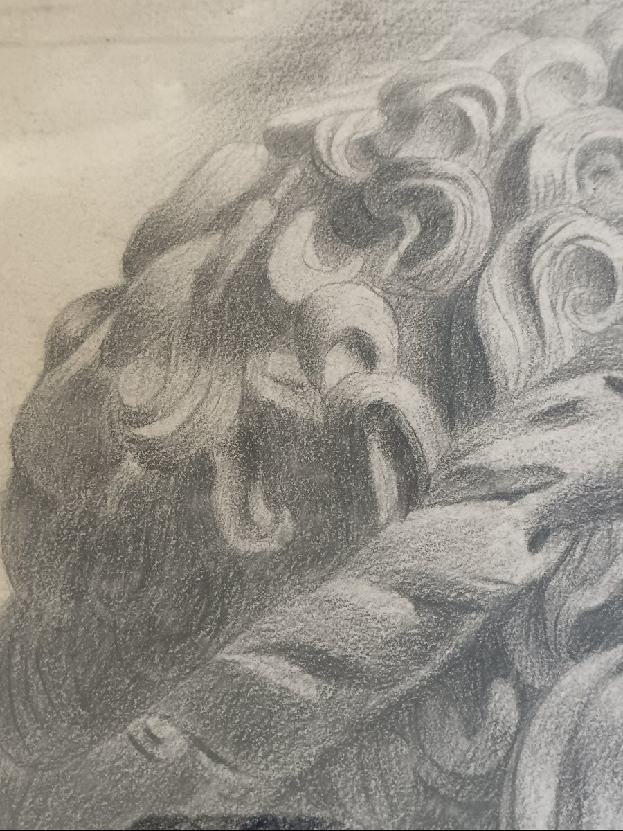 Dessin d'après l'antique "Hercule"-photo-6