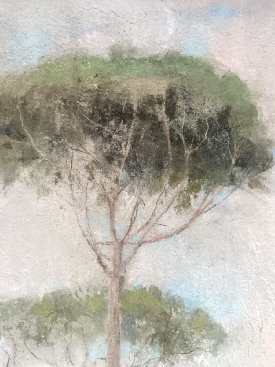 Giuseppe Casciaro "la nostalgie de la Via Appia"-photo-6
