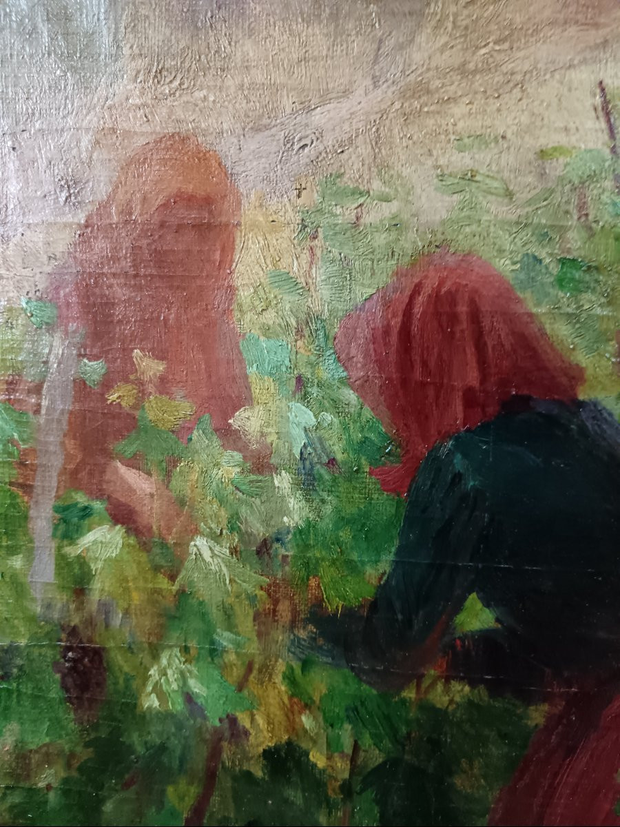 Laurent Gsell "harvests In Provence"-photo-3