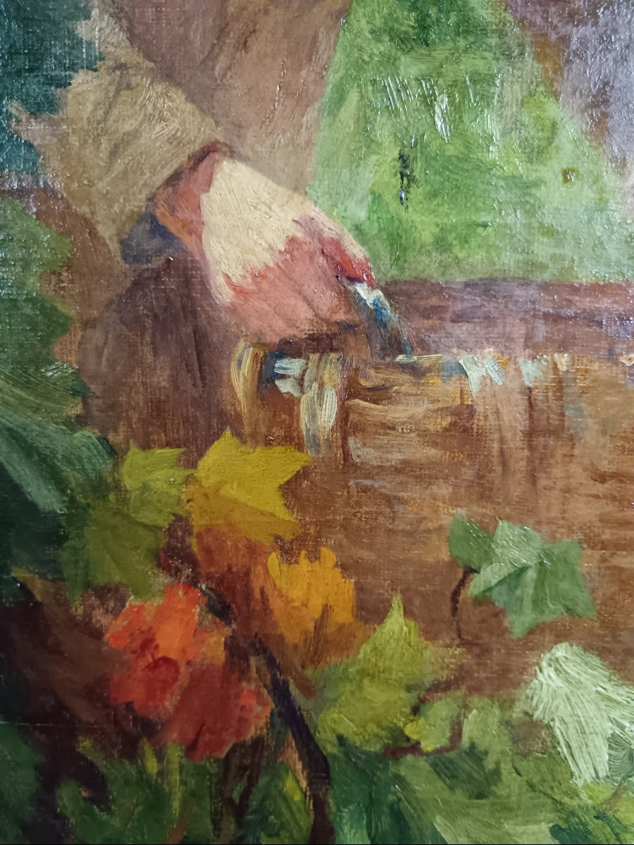 Laurent Gsell "harvests In Provence"-photo-2