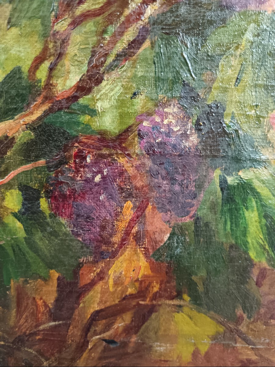 Laurent Gsell "harvests In Provence"-photo-5