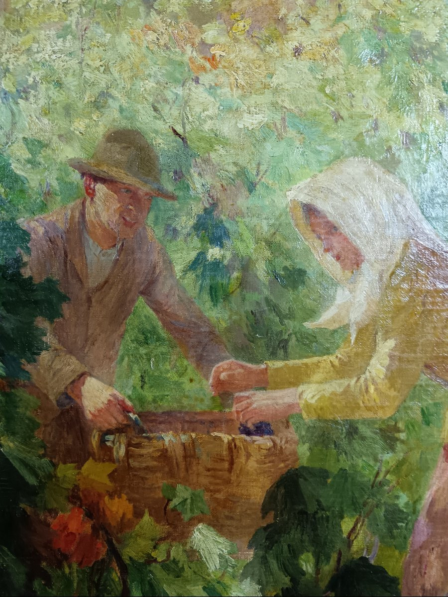 Laurent Gsell "harvests In Provence"-photo-8