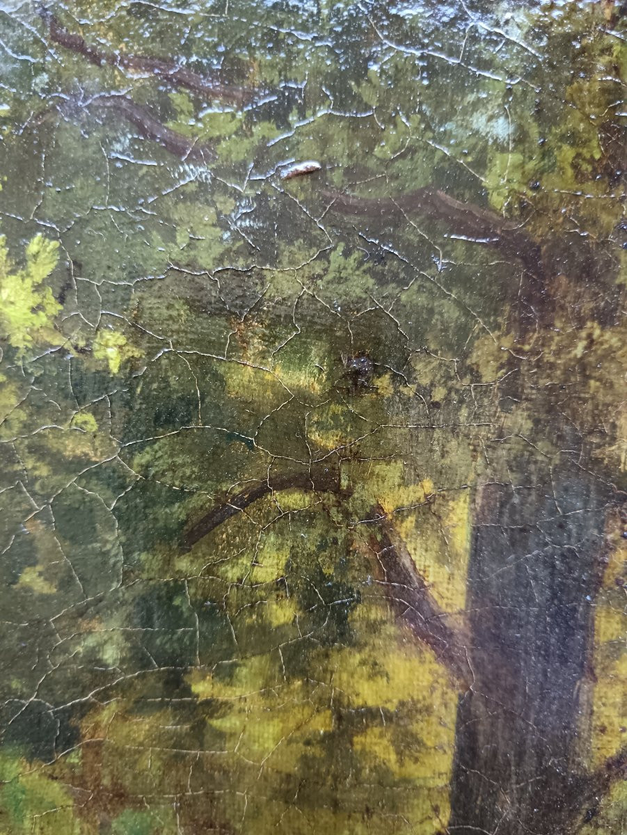 Adolphe Frédéric Lejeune "a Luminous Breakthrough In The Heart Of The Forest"-photo-6