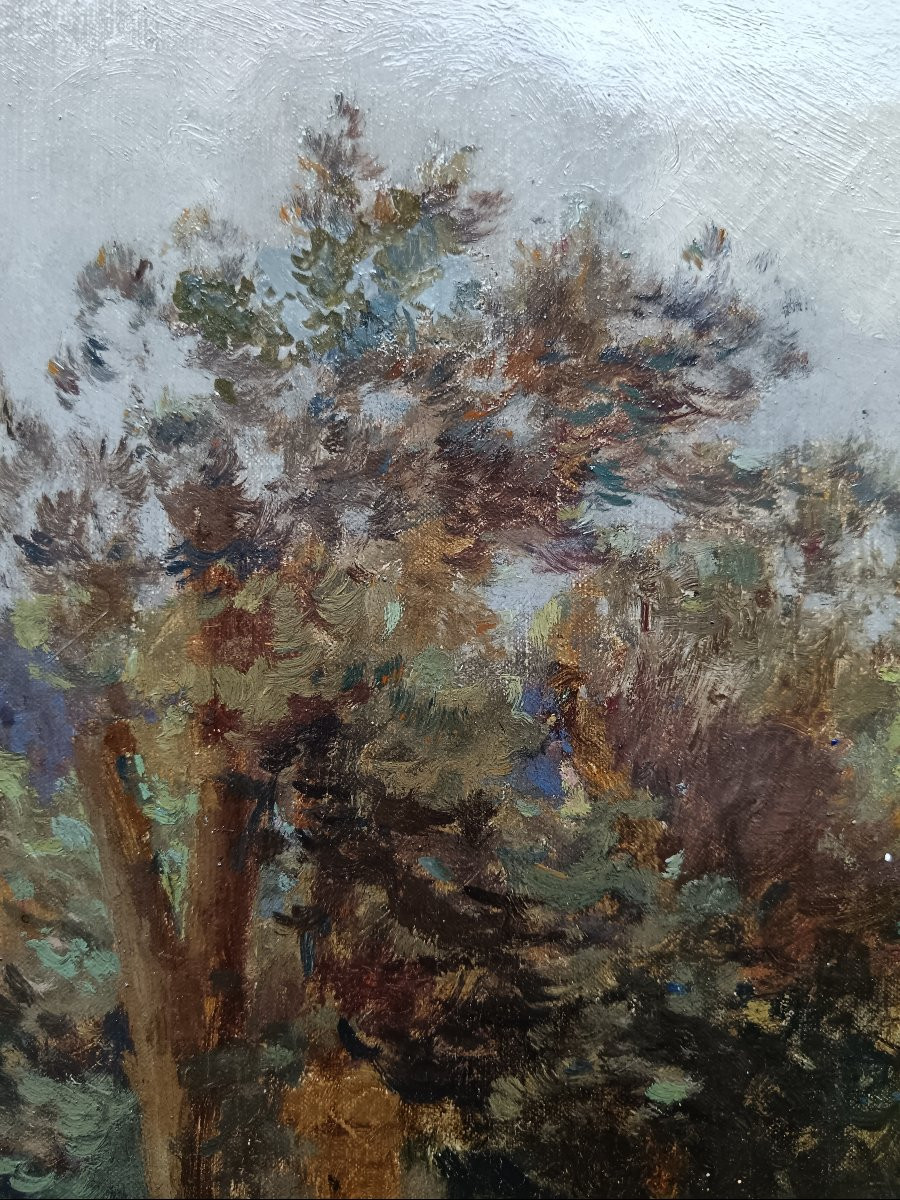 Ecole néo impressionniste . Emile Richard Haumont "la chaumière vue du verger"-photo-5