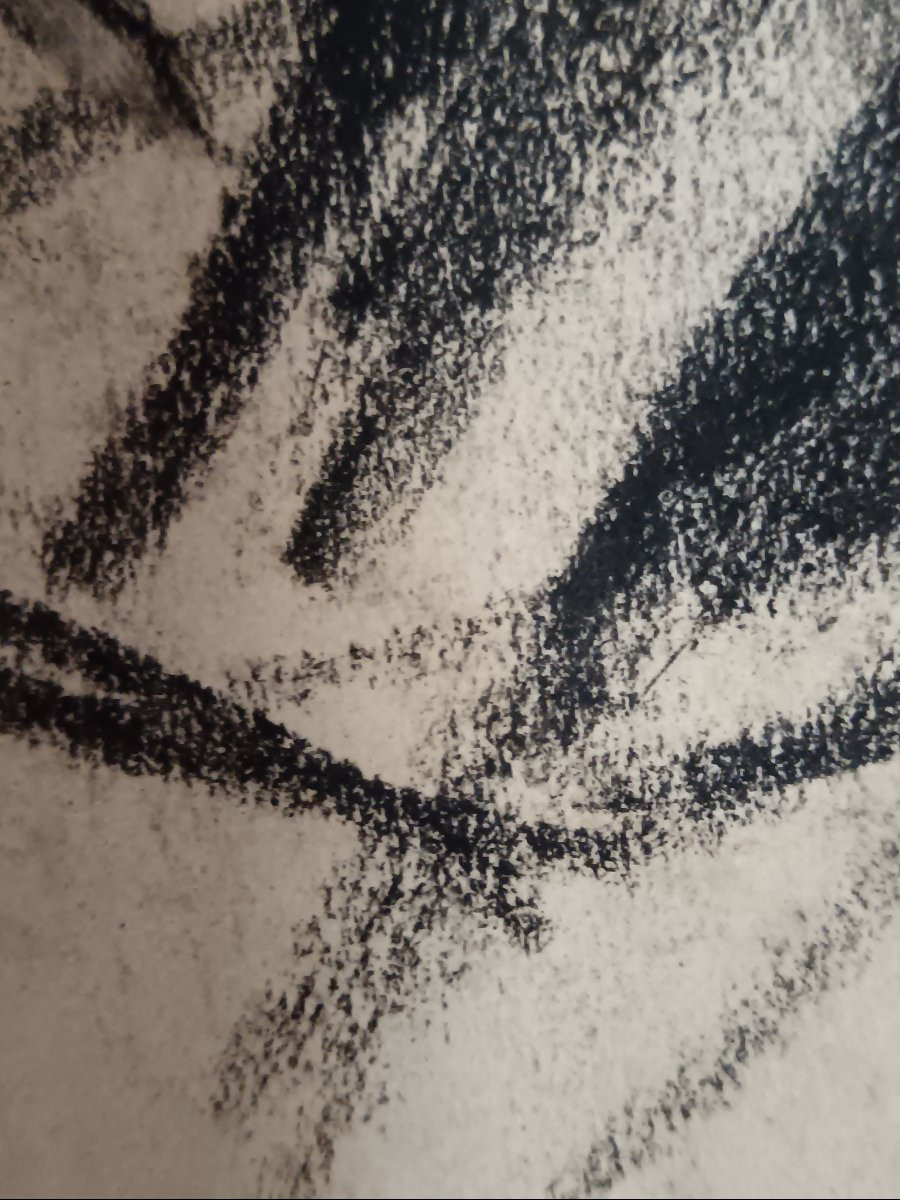 Portrait de voyage. Ecole iranienne "Femme iranienne à la croisée des chemins"-photo-3