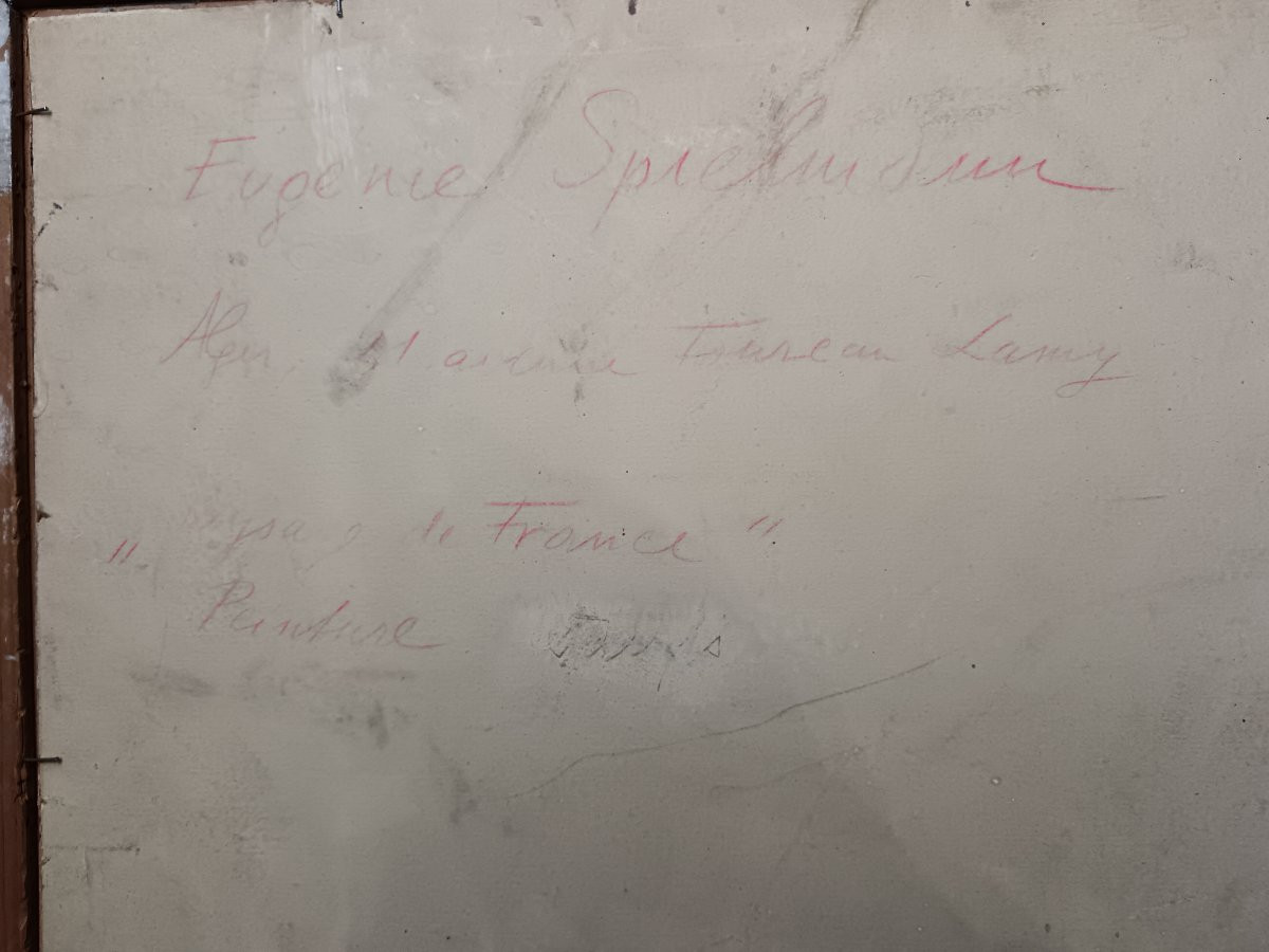 Eugénie Spielmann "paysage de France"-photo-2