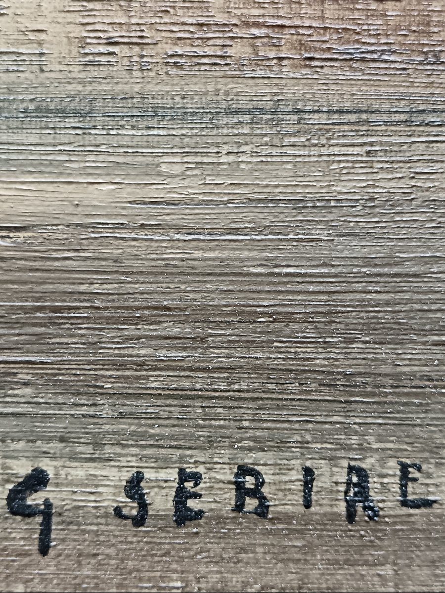 Gaston Sébire "un petit peu des jardins normands"-photo-2