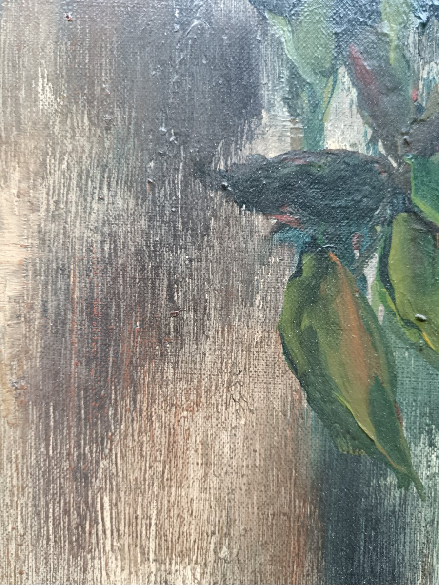 Gaston Sébire "un petit peu des jardins normands"-photo-7