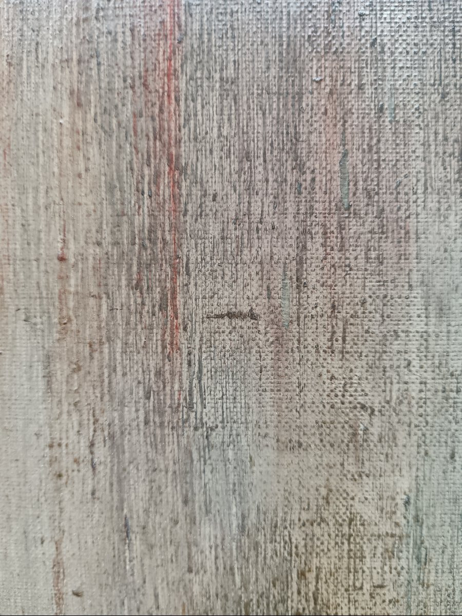 Gaston Sébire "un petit peu des jardins normands"-photo-8