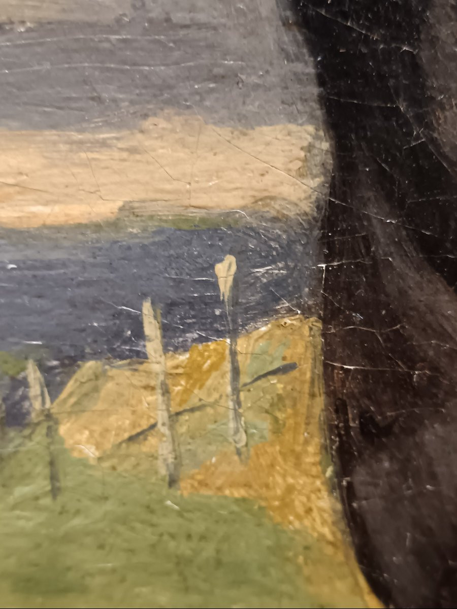 Alfred de Dreux attribué à "majestueux chevaux s'ébrouant au pré"-photo-2