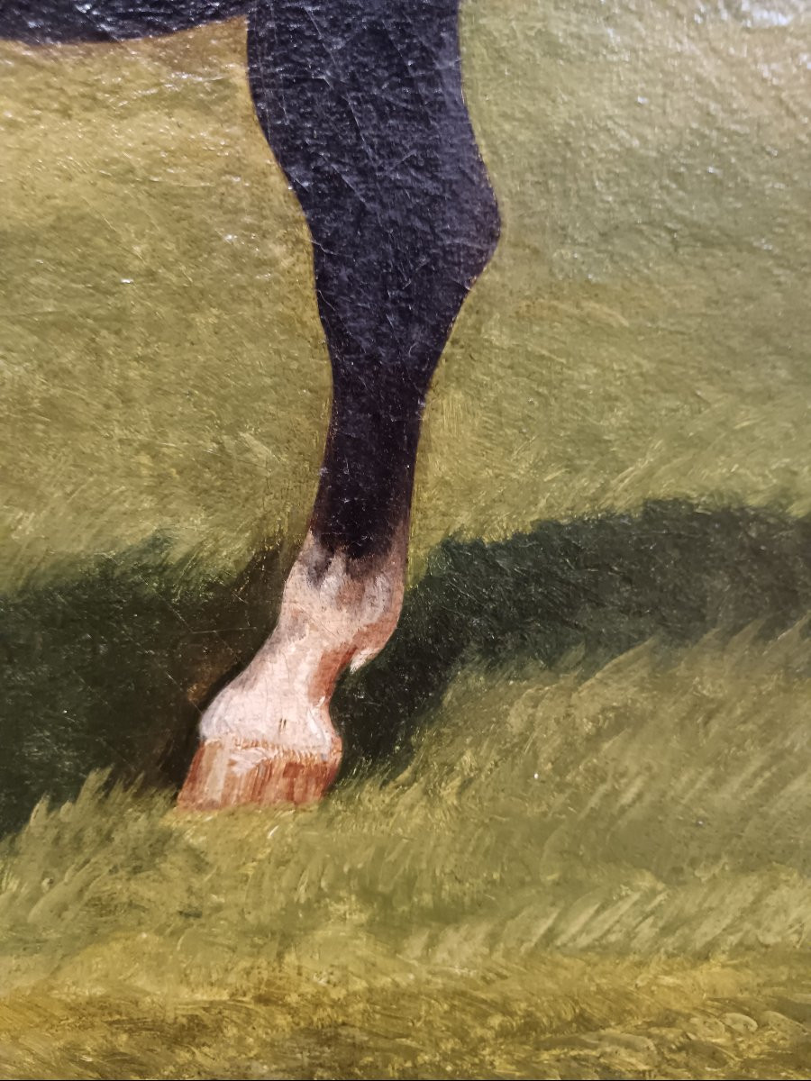 Alfred de Dreux attribué à "majestueux chevaux s'ébrouant au pré"-photo-4