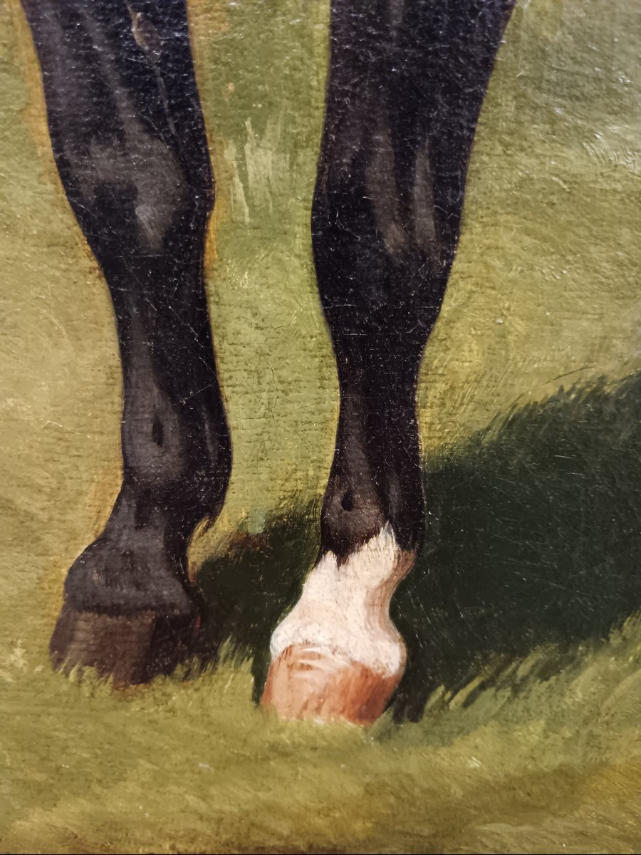 Alfred de Dreux attribué à "majestueux chevaux s'ébrouant au pré"-photo-5