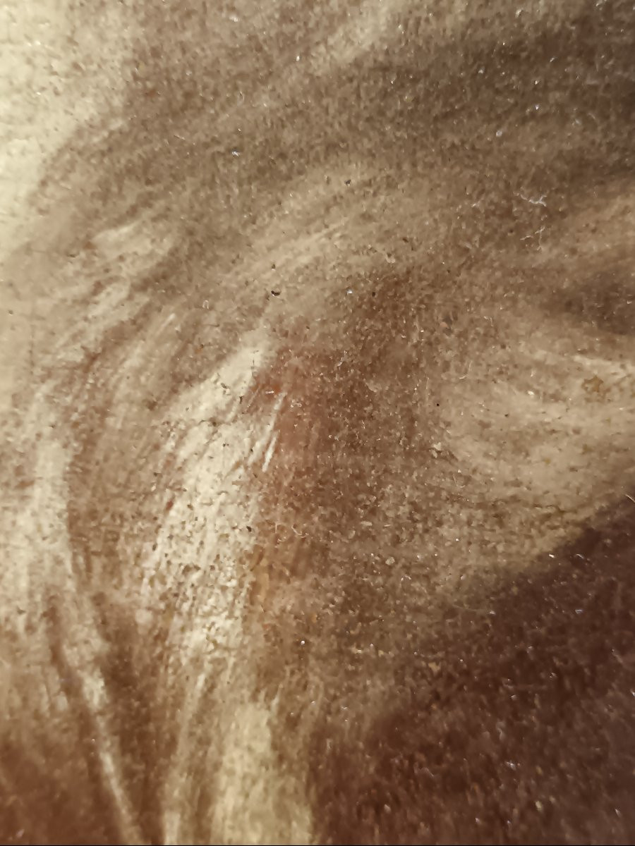 Giovanni Battista Piazzetta entourage de  "saint Philippe Neri en prière"-photo-3