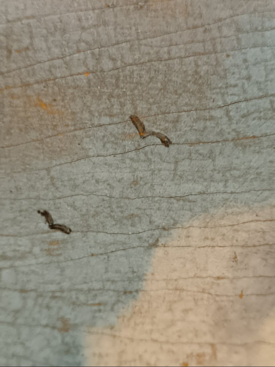 Dutch School Of The Late 18th Century "rough Weather On The Coast"-photo-6