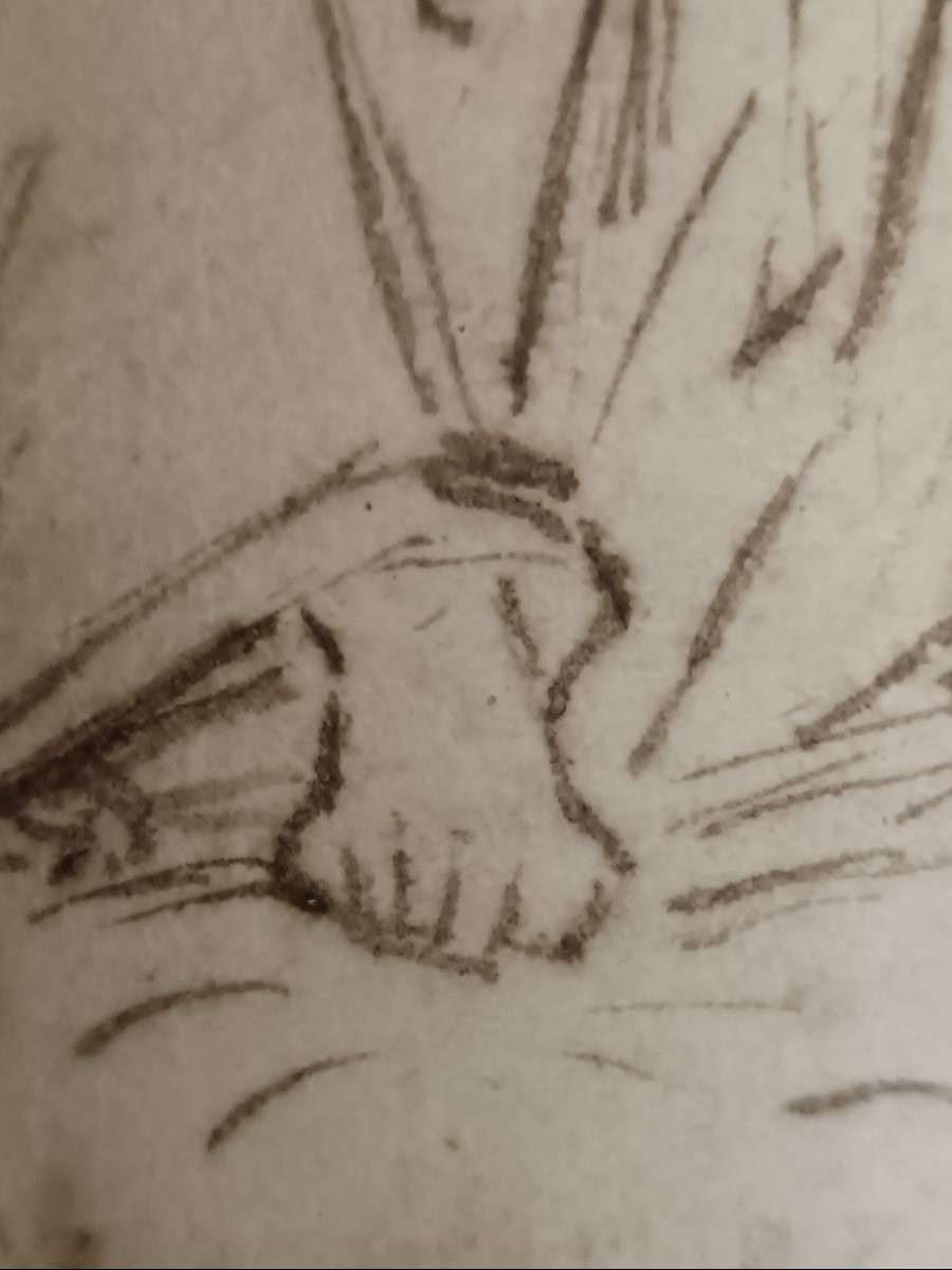 Projet de décoration d'une coupole "Etude pour deux évangélistes : Saint Jean et Saint Luc"-photo-5