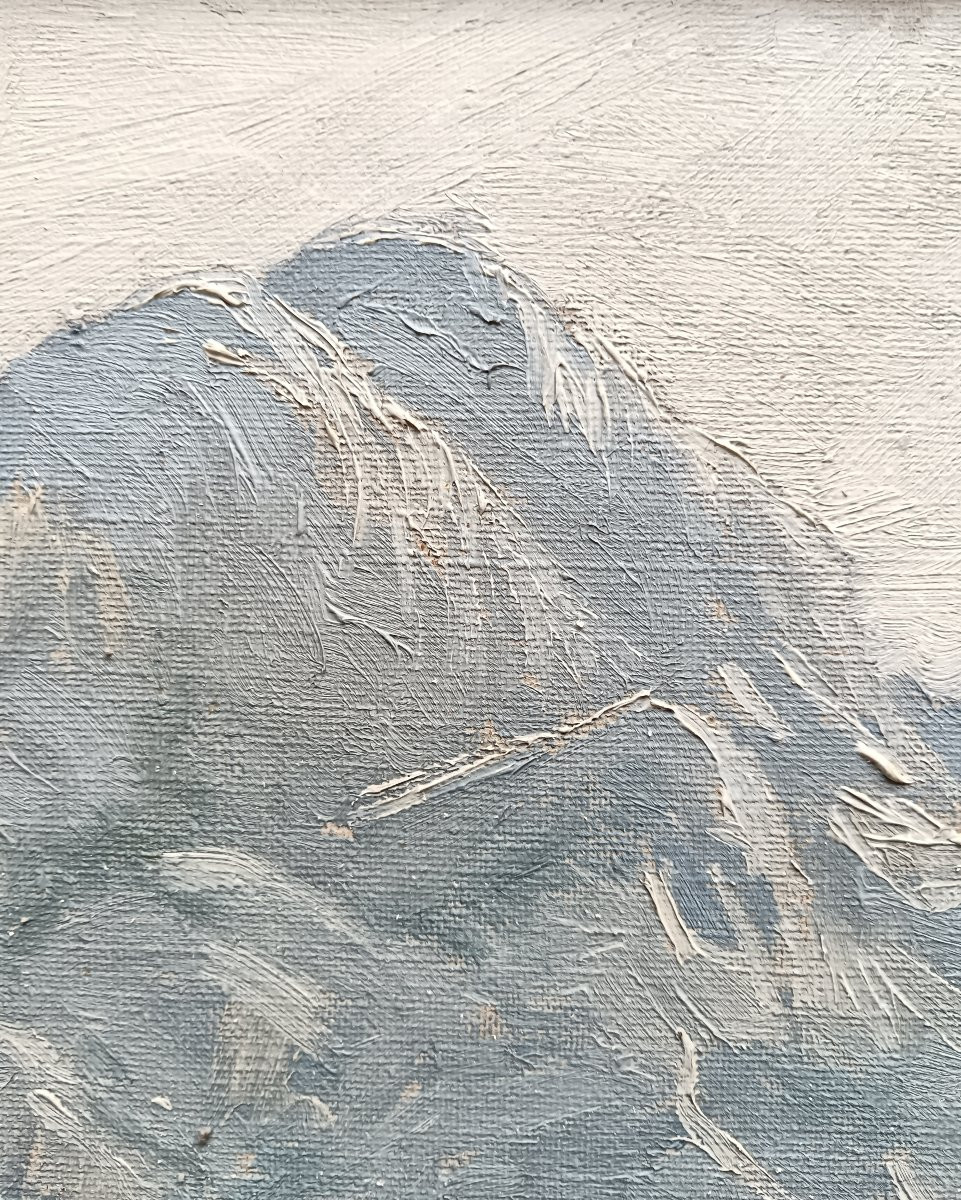 Mountain Painter -photo-5