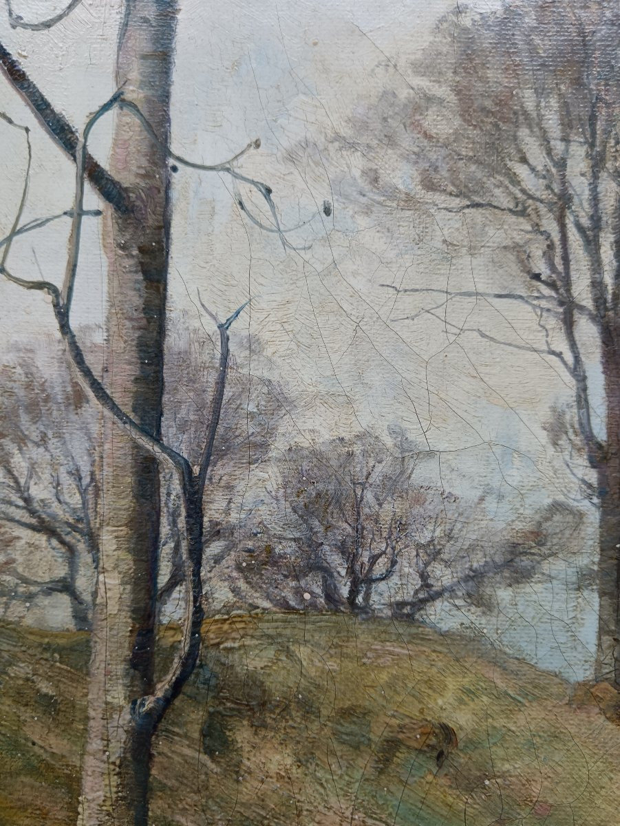 Scottish School  "a Little Moment Of Spring In Scotland"-photo-6